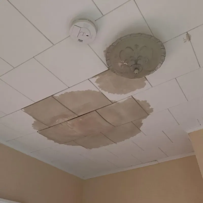 Ceiling Water Damage Repair in Weatherly, PA