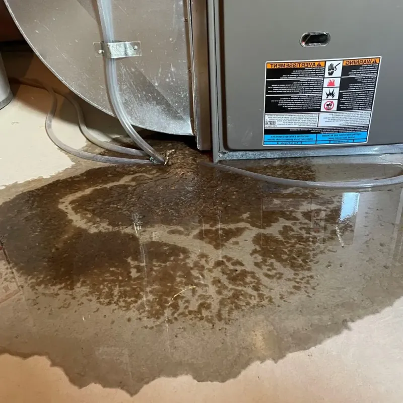 Pipe Burst and Leak Restoration in Weatherly, PA