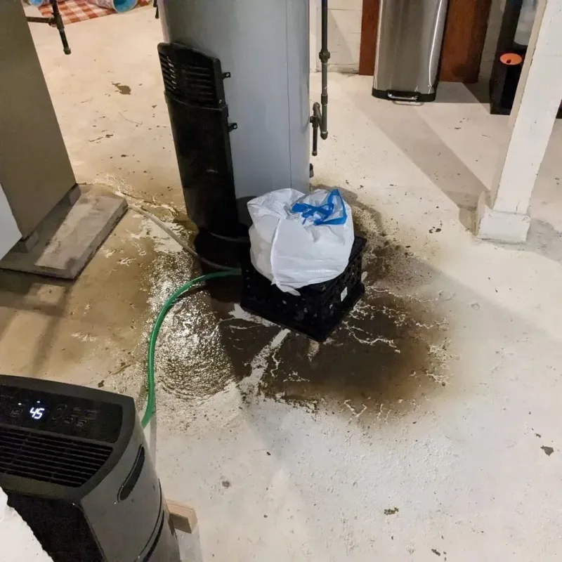 Sewage Backup Cleanup Service in Weatherly, PA